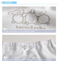 盛哲卡 女童純棉內(nèi)褲 6個(gè)月 3歲女童三角內(nèi)褲 2條裝 l1066